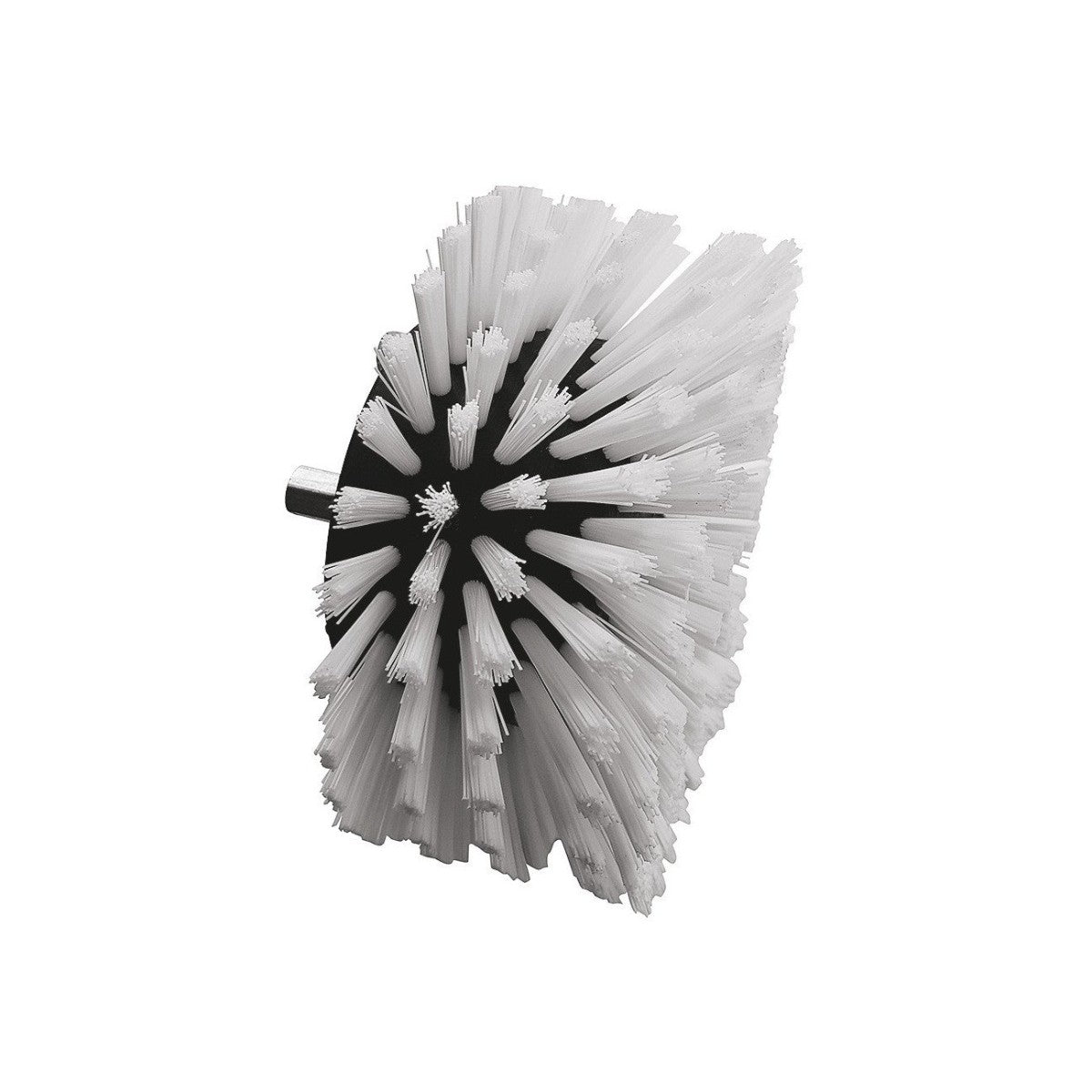 Monobrosse Scrubby