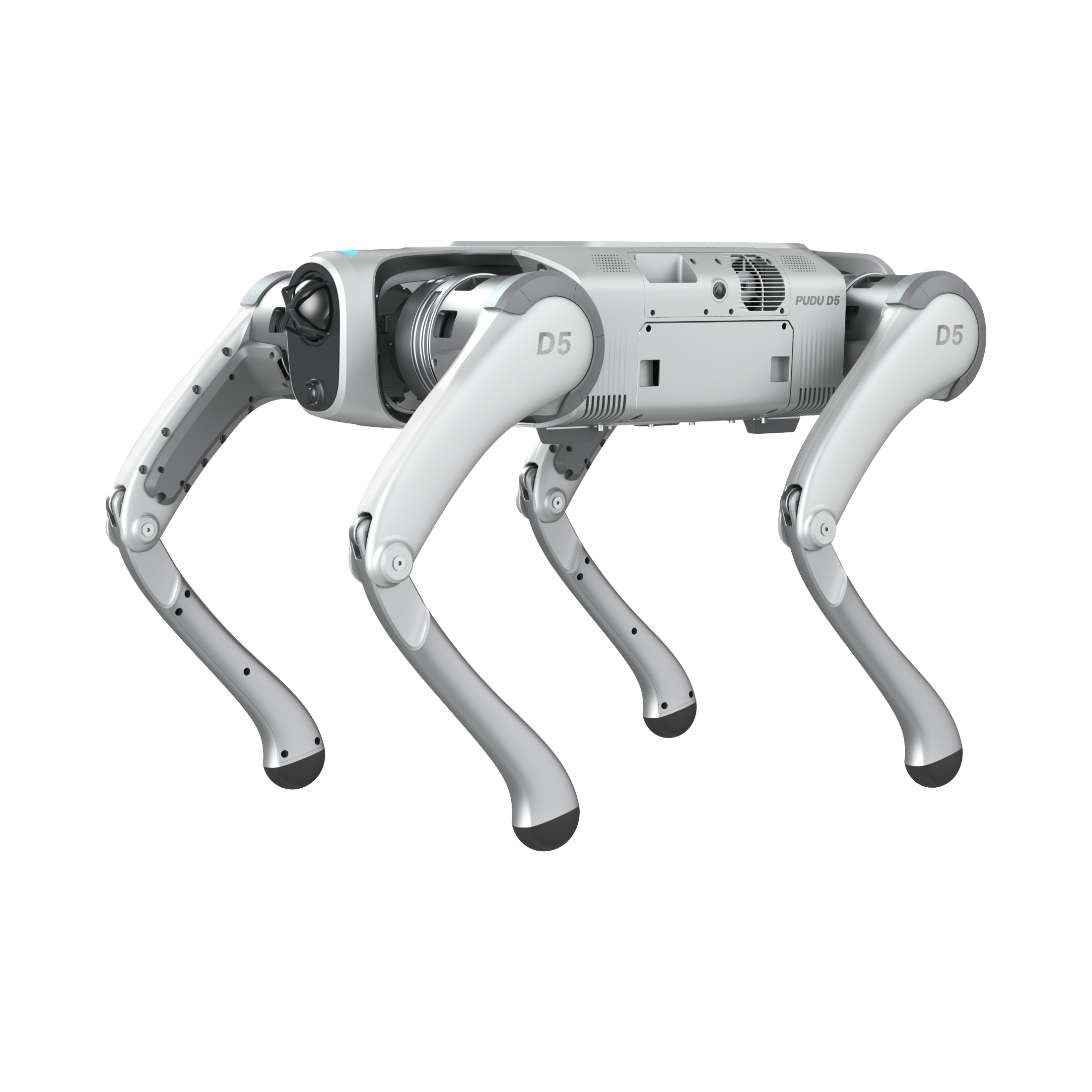 Mit Service-Garantie. Pudu D5 Series