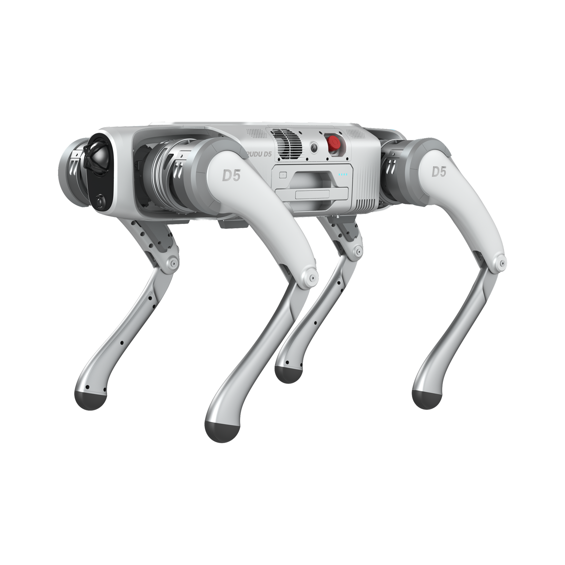 Mit Service-Garantie. Pudu D5 Series