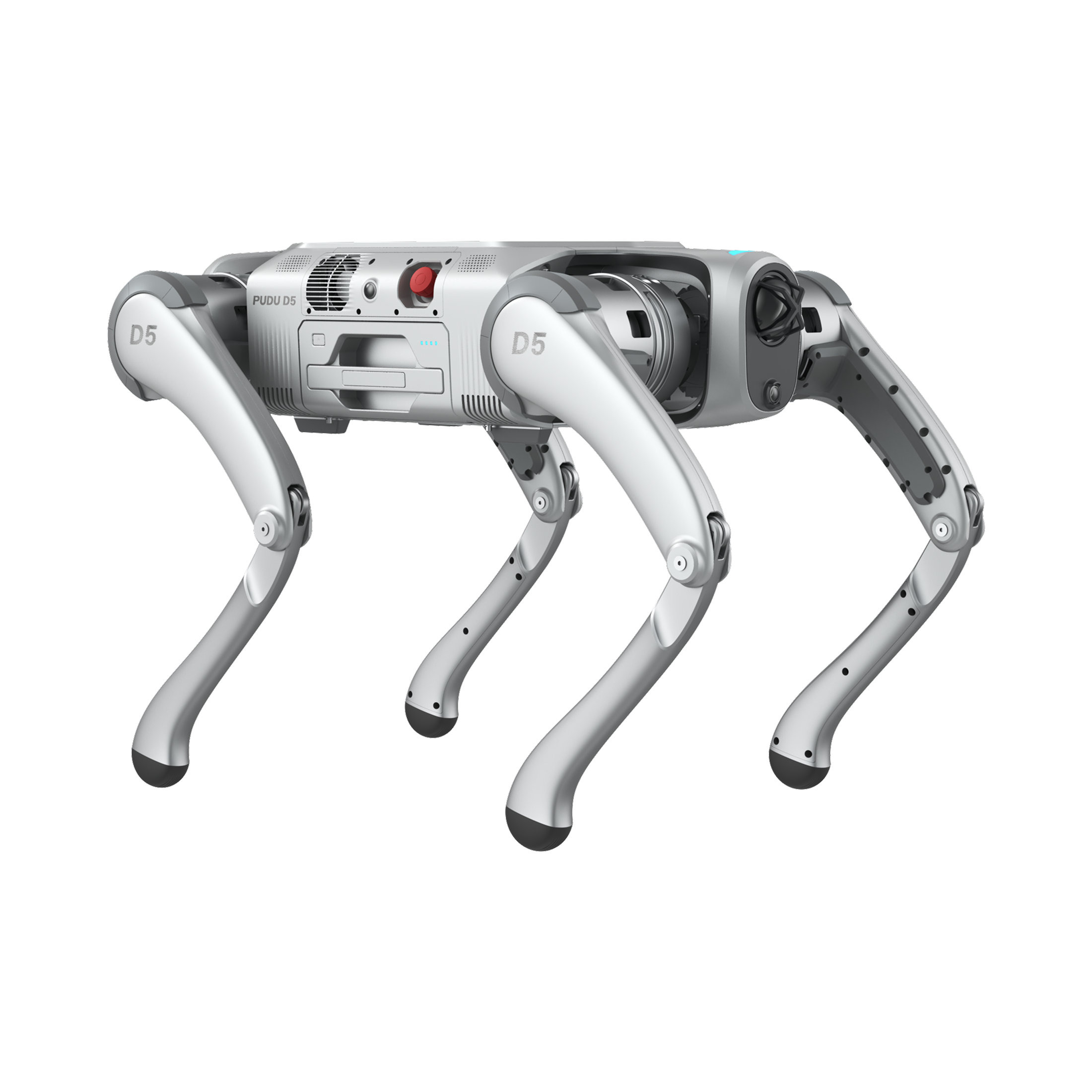 Mit Service-Garantie. Pudu D5 Series